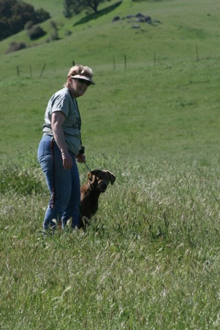 Molly #2 @ Alex's 2012