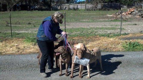 Pic #7 - Saturday morning walk & newspaper